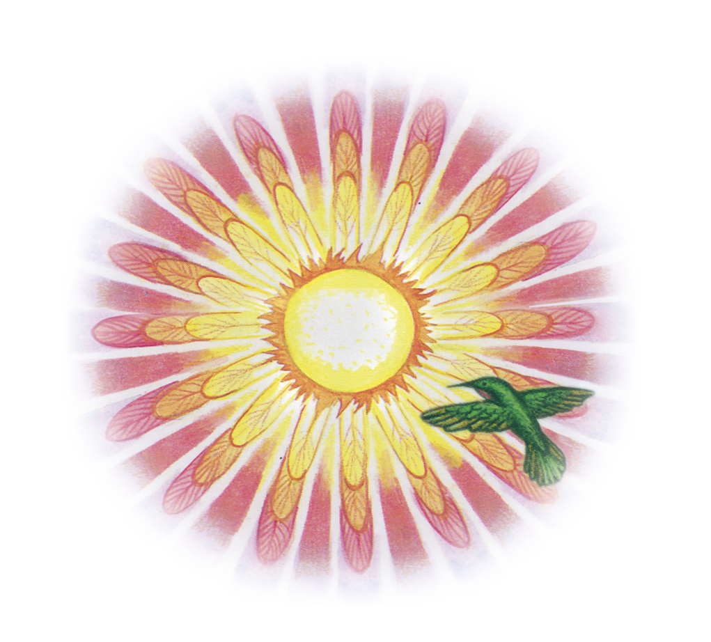 Sonne rund_internet_gr.jpg